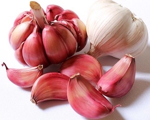 garlic or lasun ayurvedic uses and benefits