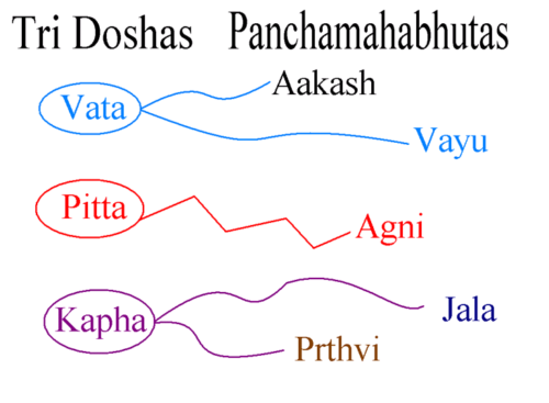 Ayurveda Tridosha Theory for Diagnosis of Diseases