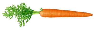 Ayurveda health benefits of carrots