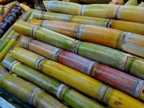 Health benefits of Sugarcane