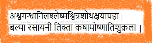 Ayurveda Health Benefits and Uses of Ashwagandha