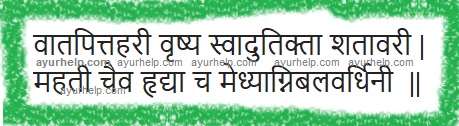 Ayurveda Health Benefits of Shatavari