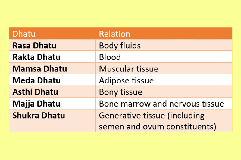 Ayurveda Description of 7 Tissues or Sapta Dhatu