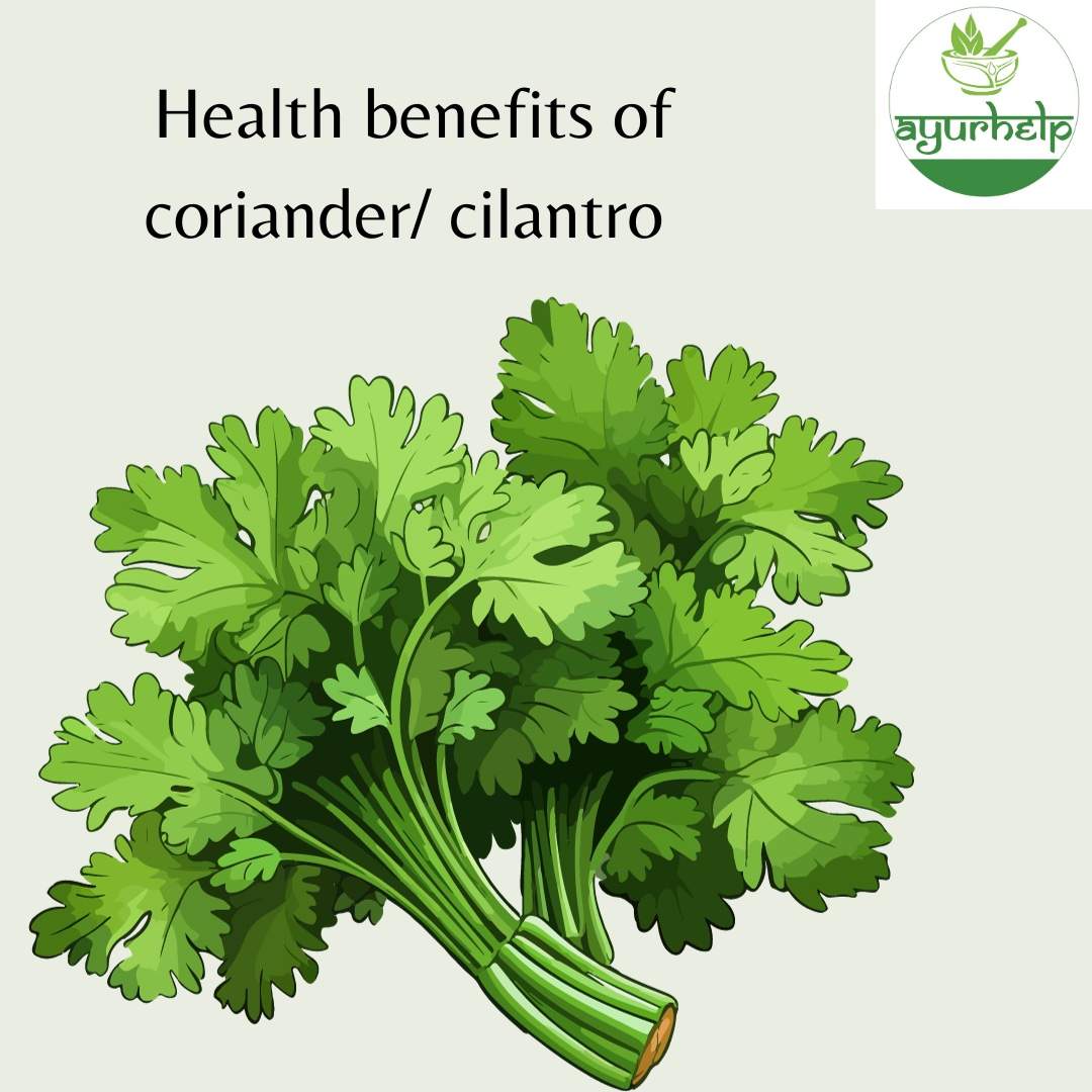 Health Benefits of Coriander/cilantro, seeds, leaves,